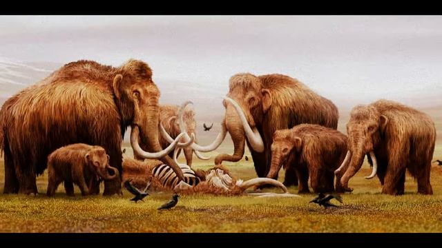 Мой знакомый, незнакомый.(Мишель Гуревич).(2021).