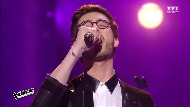 ALEXANDRE (EMMANUEL MOIRE - ÊTRE A LA HAUTEUR) THE VOICE 2016
