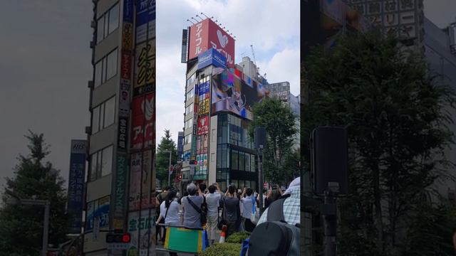 新宿の３Dネコ