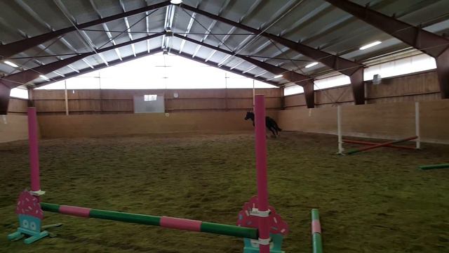 3abc759c73bfbe0382e0919e31d0b927