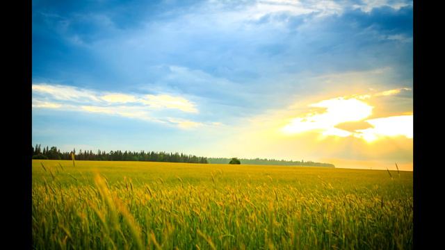 68228fdbf8ad9afd7a4104341b0cc8ea