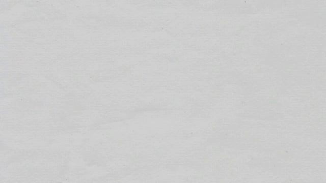 Цікаві факти про дихальну систему Соколова Катерина 9 В клас