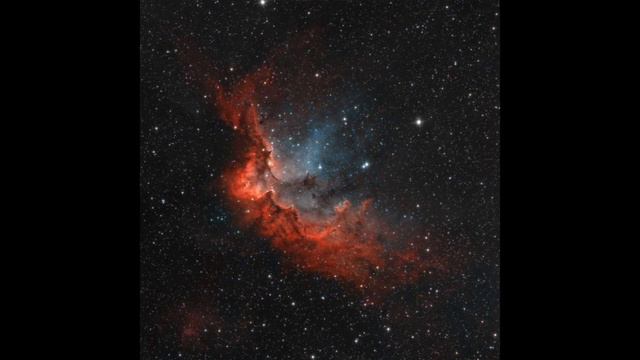 FLAVIEN BERGER - BABYLONE