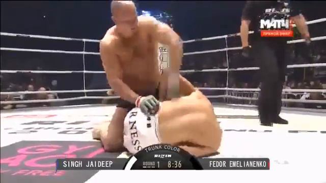 Новинка, Фёдор Емельяненко и Джайдип Сингх