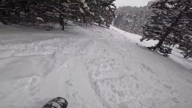 789e650a0ec788debf55ad9a53e5fb0d