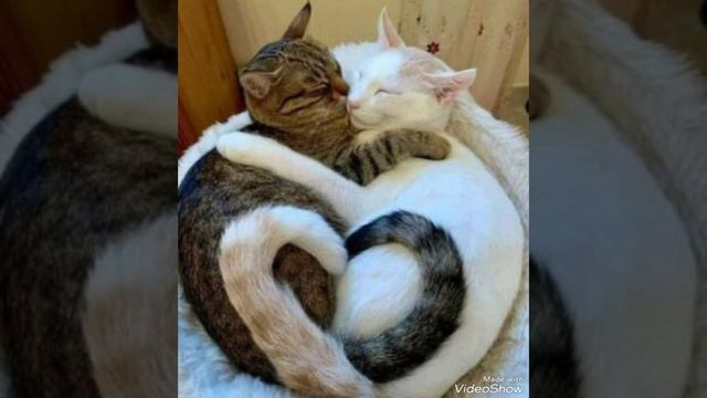 ODS Duet Cover Duncan James And Keedie ~ I Believe My Heart
