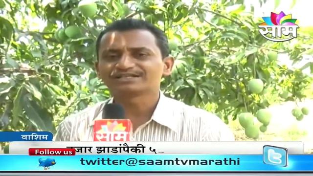 Ravi Marshetivar's Zero Budget Natural Mango Farming Success Story
