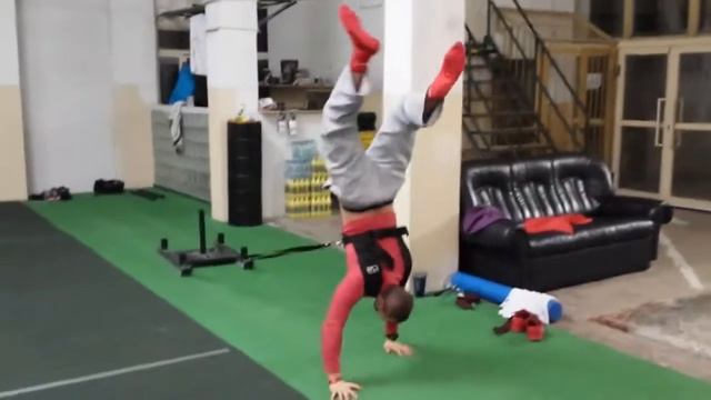 Hand Stand Walk Prowler