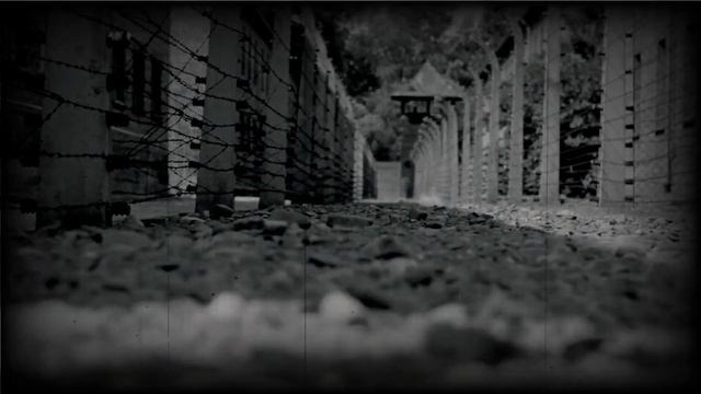 The Brown Stigler Incident: The German Pilot Who Assisted An American Bomber During World War I