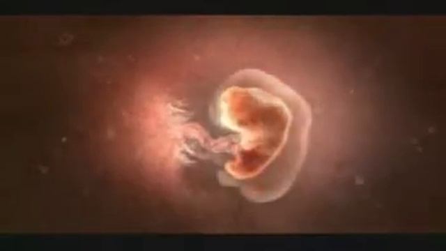 Mercedes Benz Commercial 