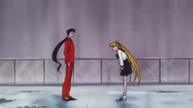 Serena Llora Por Darien-Sailor Moon