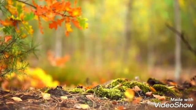 Noore Mohammad Ka Jalwa Hai || By || Abdul Wahid ||