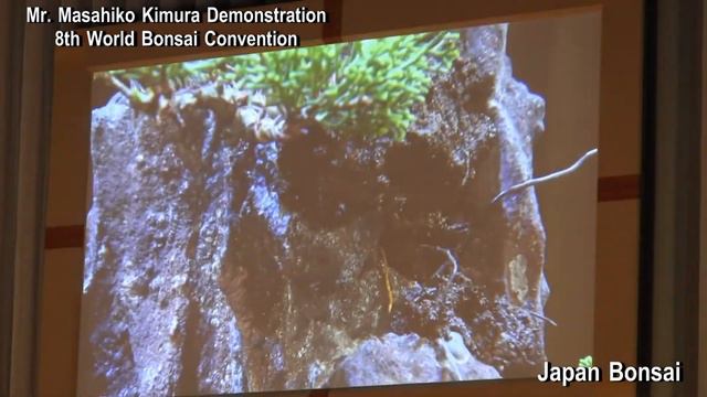 Bonsai Master Masahiko Kimura Demo World Bonsai Convention Saitama 2017 木村正彦 盆栽デモ 世界盆栽大会