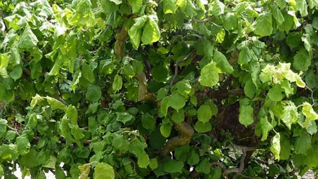 #Летниеудовольствия, выпуск 4 - 1