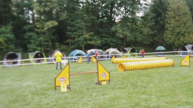 Agilityturnier In Bretten Am 18 09 2011    Andreas Gerster & Shila  J 3 Large