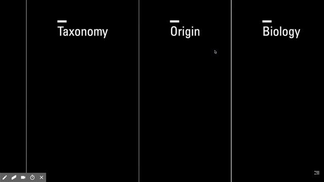 Microsoft Sway-A Deeper Dive Into How To Create Your Sway