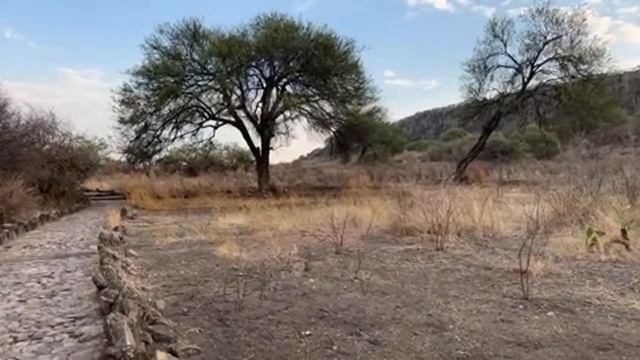 En Vivo Desde Zaragoza. 😃👋