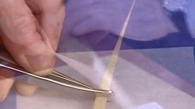 Dating The Vinland Map