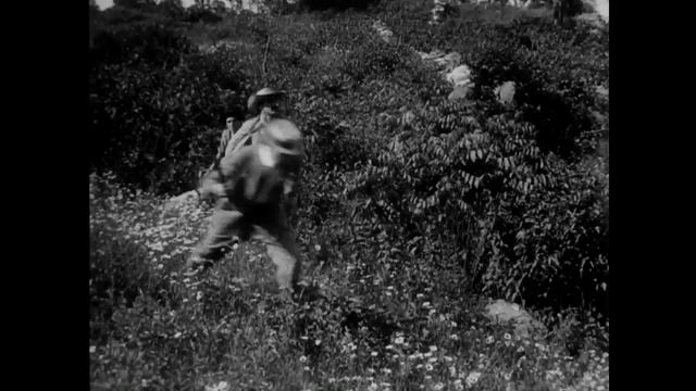 The Adventures Of Dollie (1908) D. W. Griffith, G. W. Bitzer