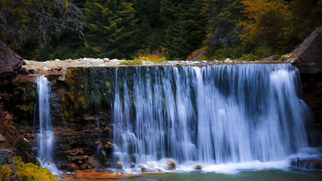 You Are The Imperishable Self - Robert Adams Satsang (Non Duality - Advaita Vedanta)