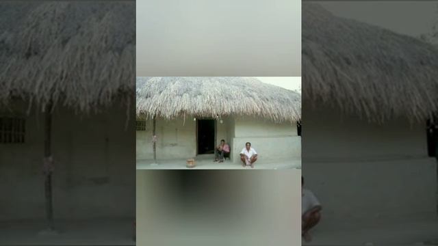 Origin And Handling Of Negative Auto Suggestions In Mind