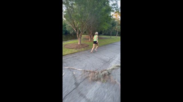 Kendall Lynes- Wild Card ENG 1102 Portfolio