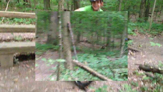 Erdei Biciklizes/Mountain Biking