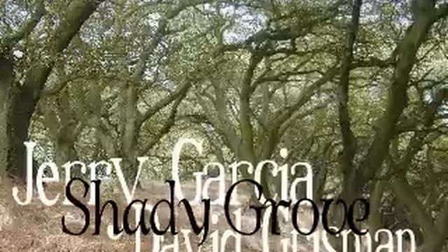 Jerry Garcia And David Grisman - Shady Grove