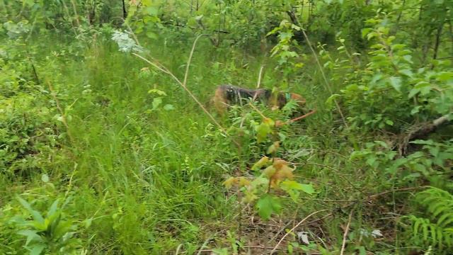 FCGD Trackem Down Cuttem Right Linda Solo