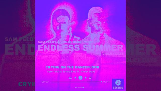Sam Feldt & Jonas Blue- Crying On The Dancefloor (BennyDj's Remix)