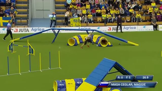 AWC 2018 Large Individual Agility