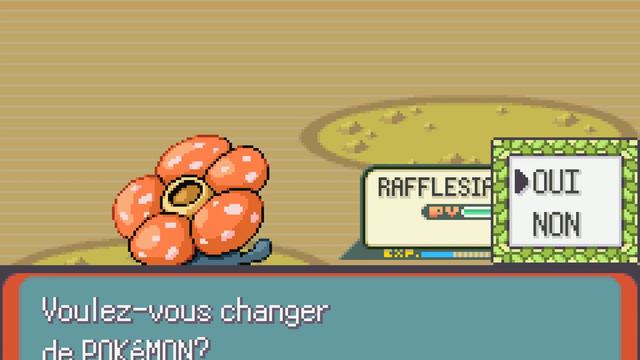 Pokémon Emerald Version (French) - Cooltrainer Vito