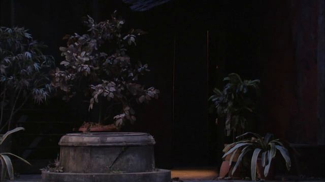 Com'e Gentil - Matthew Polenzani (Met 2010) [Subs: Hrvatski]