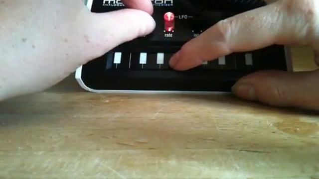 Little Boots - MONTRON! How Cool Is This??