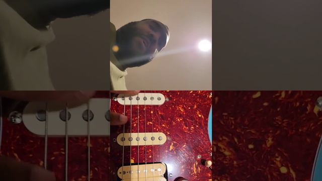 I Customized My Kramer Focus VT 211s