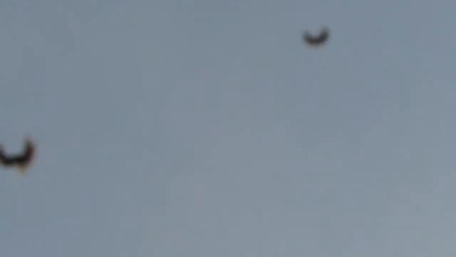 Голуби В.  И.  Стрешний Кущёвская