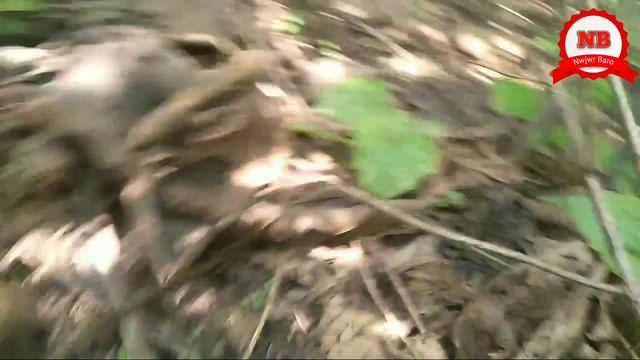 5886ad8ba64793cafcc23a9031a875de