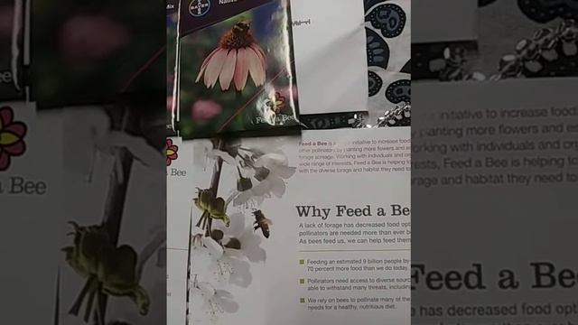 Free Native Wildflower Mix Seeds From Bayer (Feed A Bee)