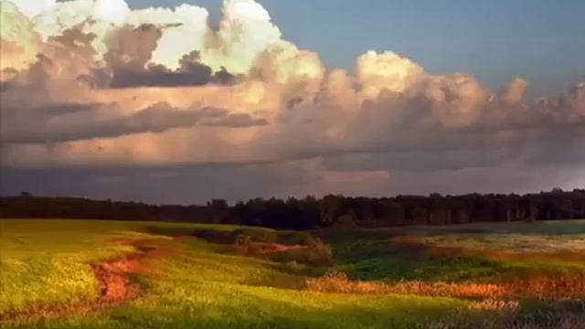 平沢進 Susumu Hirasawa - Sign 01