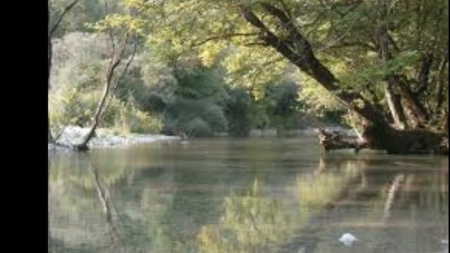 ΑΣΠΡΗ ΜΕΡΑ ΚΑΙ ΓΙΑ ΜΑΣ   ΠΑΠΑΛΟΥΚΑΣ  ΠΑΝΑΓΙΩΤΗΣ