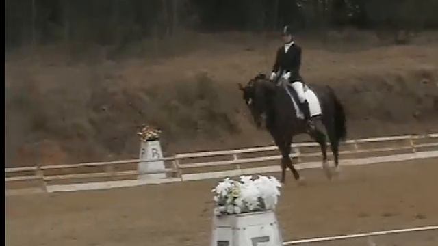 972fc19bfde21612f7d58be7f7b7b81e