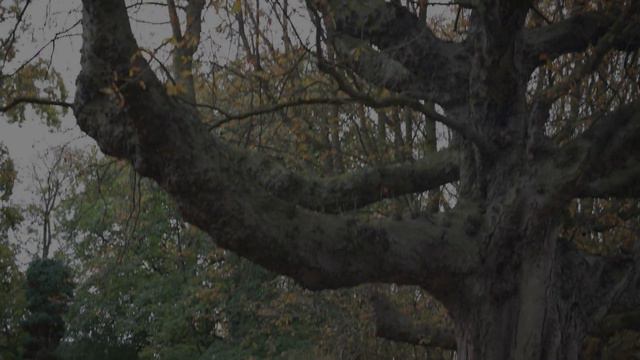 Money Matters | A Guide Through Dutch Finances For International Students