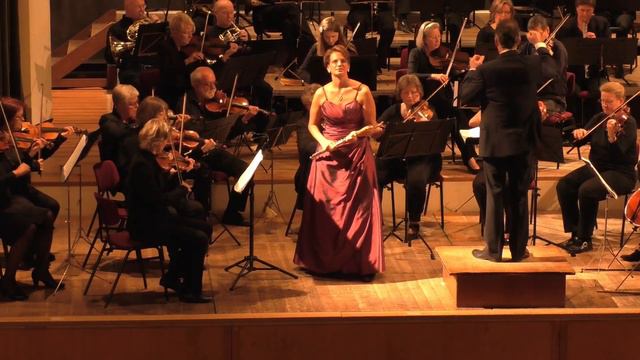 François Joseph Fétis - Flute Concerto In B-minor, 1. Allegro