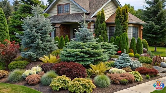Nature's Finest | Coniferous Plant Front Yard Design Ideas To Wow Your Neighbors