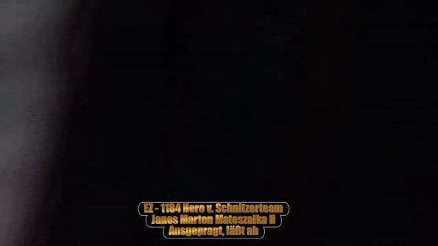 2017 SV BSZS In Ulm TSB Part 145 EZ Hero V.  Schnitzerteam