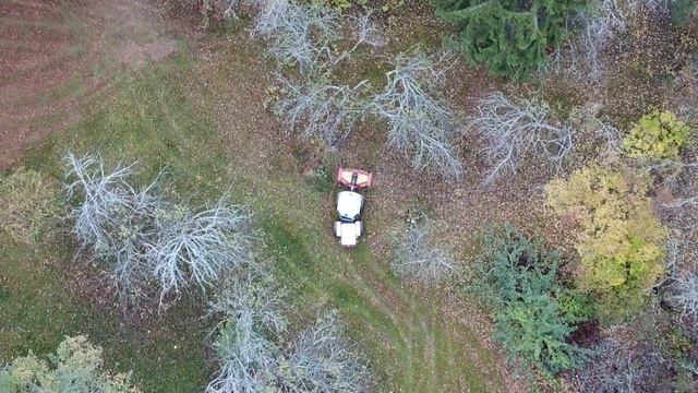 Antonio Carraro 4400 Superpark With Lawn Mower