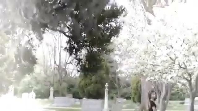 Brief Pause In The Organ Recital ByTomas Tranströmer