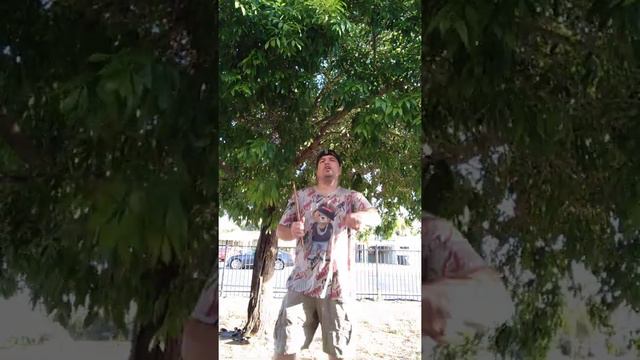 E6433d57a214f68e0a777272dae594fd