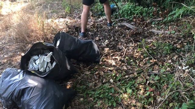 Removing Trash From Nature #2