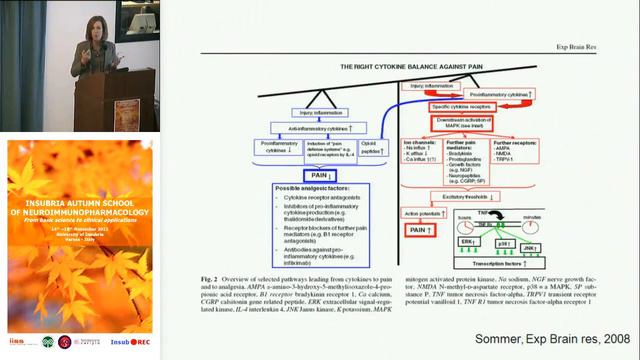 Neuroimmune Interactions In Pain - Paola Sacerdote, University Of Milan